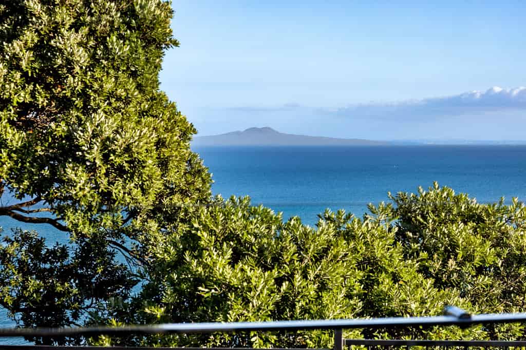 Rangitoto Island vista